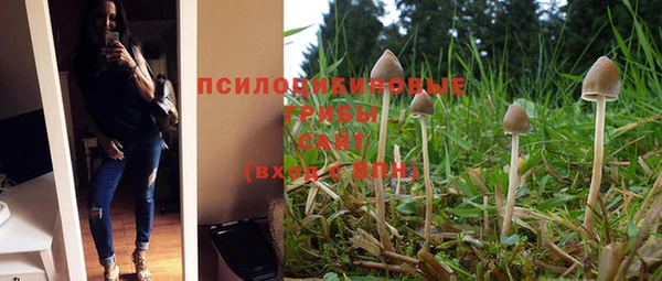 Альфа ПВП Армянск