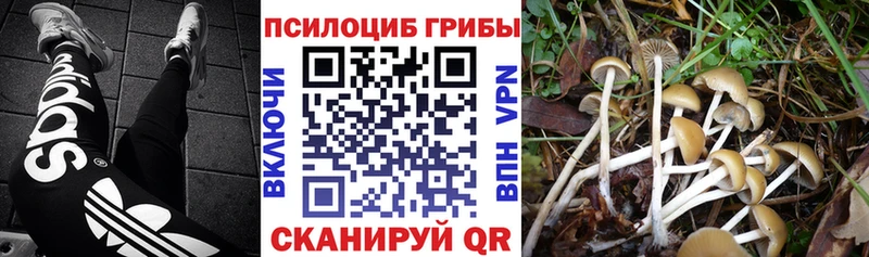 Галлюциногенные грибы мухоморы  Приморско-Ахтарск 